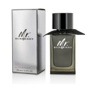 MR. BURBERRY BY BURBERRY 3.3 OZ. EDP M