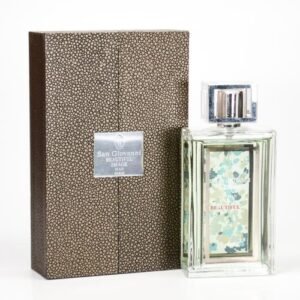 BEAUTIFUL IMAGE BY SAN GIOVANNI 3.3 FL.OZ. EDT SPRAY FOR MEN